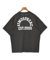 CHAMPION（チャンピオン）Tシャツ・カットソー グレー サイズ:L メンズ/2200614522020