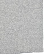 CHAMPION（チャンピオン）Tシャツ・カットソー グレー サイズ:S メンズ/2200613898065
