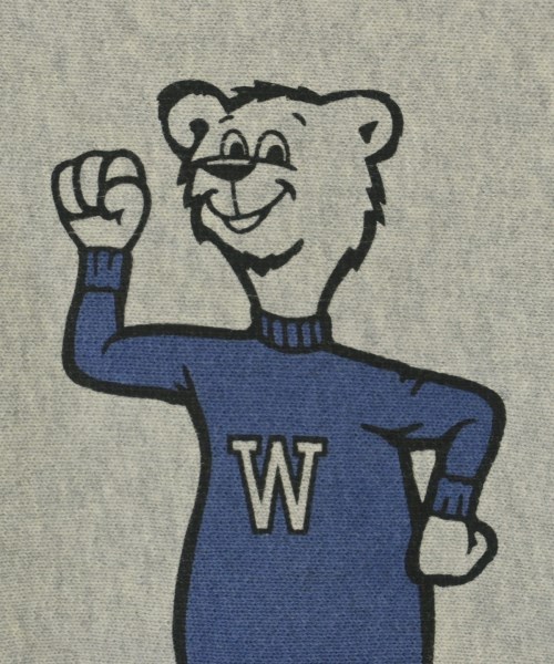 CHAMPION（チャンピオン）スウェット グレー サイズ:M メンズ/2200607722079