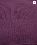 CHAMPION（チャンピオン）スウェット 紫 サイズ:S メンズ/2200675426138