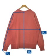 CHAMPION（チャンピオン）スウェット 赤 サイズ:L メンズ/2200675800044