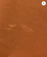 CHAMPION（チャンピオン）スウェット オレンジ サイズ:2XL(XXL位) メンズ/2200676225044