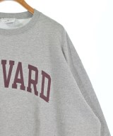CHAMPION（チャンピオン）パーカー グレー サイズ:3XL(XXXL位) メンズ/2200698148109