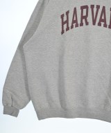 CHAMPION（チャンピオン）パーカー グレー サイズ:3XL(XXXL位) メンズ/2200698148109