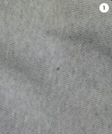 CHAMPION（チャンピオン）スウェット グレー サイズ:XS レディース/2200649871025