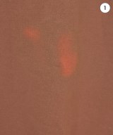 PENNYES（ペニーズ）スウェット 茶 サイズ:M メンズ/2200728615250