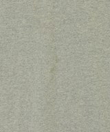 PENDLETON（ペンドルトン）Tシャツ・カットソー グレー サイズ:S メンズ/2200694449088