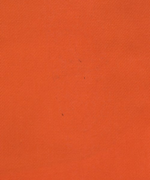 Dickies（ディッキーズ）ショートパンツ オレンジ サイズ:29(S位) メンズ/2200724552030