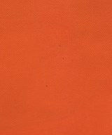 Dickies（ディッキーズ）ショートパンツ オレンジ サイズ:29(S位) メンズ/2200724552030