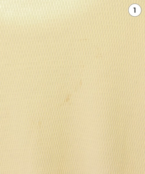 Healthknit（ヘルスニット）Tシャツ・カットソー 白 サイズ:F メンズ/2200647037041