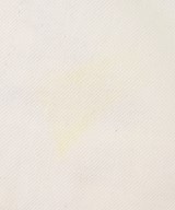 RESOLUTE（リゾルト）デニムパンツ 白 サイズ:29(S位) メンズ/2200628524072