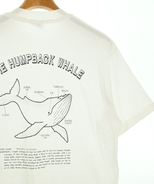 Hanes（ヘインズ）Tシャツ・カットソー グレー サイズ:M メンズ/2200724517077