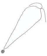 -（ソノタ）ネックレス シルバー サイズ:- レディース/2200661378434