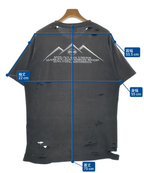 HARLEY DAVIDSON（ハーレーダビッドソン）Tシャツ・カットソー グレー サイズ:-(L位) メンズ/2200629908109