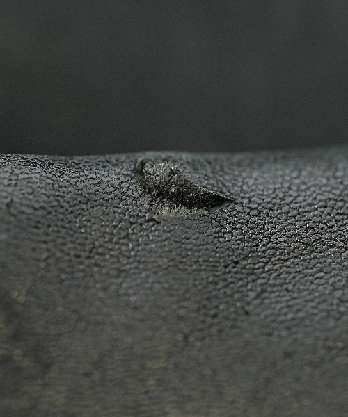 Lewis Leathers（ルイス・レザー）ライダース 黒 サイズ:40(M位) メンズ/2200467478017