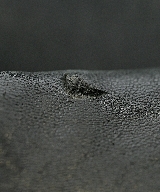 Lewis Leathers（ルイス・レザー）ライダース 黒 サイズ:40(M位) メンズ/2200467478017