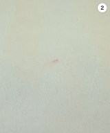 STUSSY（ステューシー）Tシャツ・カットソー 白 サイズ:XL メンズ/2200616515884