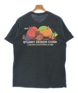 STUSSY（ステューシー）Tシャツ・カットソー 黒 サイズ:M メンズ/2200616407080