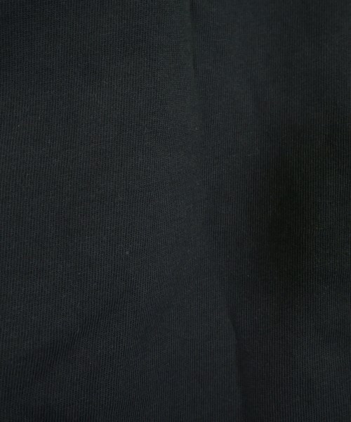 STUSSY（ステューシー）Tシャツ・カットソー 黒 サイズ:L メンズ/2200616729038