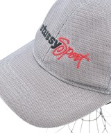 STUSSY（ステューシー）キャップ グレー サイズ:- メンズ/2200673938121