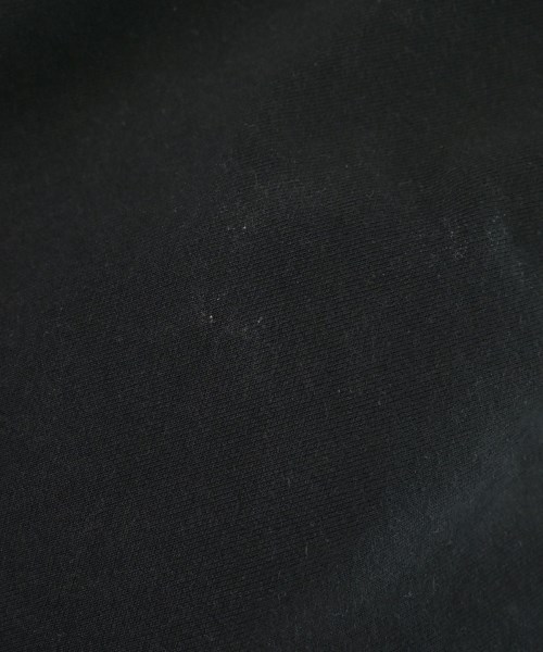 STUSSY（ステューシー）パーカー 黒 サイズ:L メンズ/2200680164063