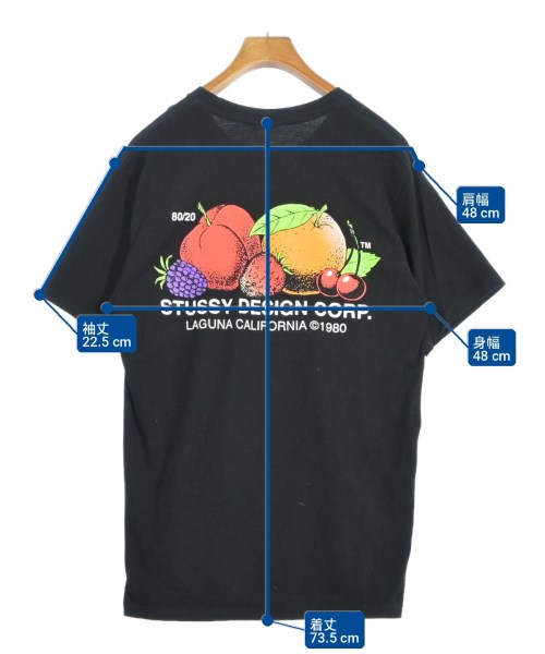 STUSSY（ステューシー）Tシャツ・カットソー 黒 サイズ:M メンズ/2200699042062