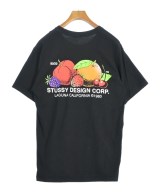 STUSSY（ステューシー）Tシャツ・カットソー 黒 サイズ:M メンズ/2200699042062