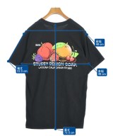 STUSSY（ステューシー）Tシャツ・カットソー 黒 サイズ:M メンズ/2200699042062