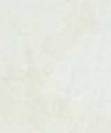 STUSSY（ステューシー）Tシャツ・カットソー 白 サイズ:S メンズ/2200714376028