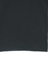 STUSSY（ステューシー）Tシャツ・カットソー 黒 サイズ:M メンズ/2200645424126