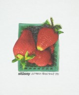 STUSSY（ステューシー）Tシャツ・カットソー 白 サイズ:S メンズ/2200706311075