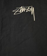 STUSSY（ステューシー）マウンテンパーカー 黒 サイズ:L メンズ/2200668338080