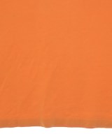 STUSSY（ステューシー）Tシャツ・カットソー オレンジ サイズ:L メンズ/2200672124013