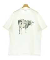 STUSSY（ステューシー）Tシャツ・カットソー 白 サイズ:L メンズ/2200720183030