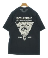 STUSSY（ステューシー）Tシャツ・カットソー 黒 サイズ:M メンズ/2200725979393