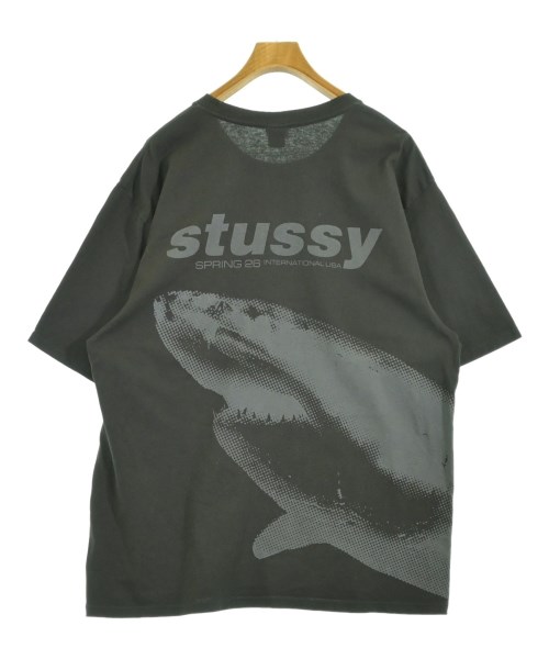 STUSSY（ステューシー）Tシャツ・カットソー グレー サイズ:L メンズ/2200728345126