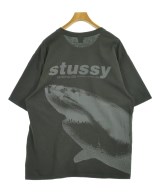 STUSSY（ステューシー）Tシャツ・カットソー グレー サイズ:L メンズ/2200728345126