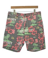 STUSSY（ステューシー）ショートパンツ グレー サイズ:32(L位) メンズ/2200686828020