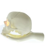 UNDER COVER（アンダーカバー）小物類（その他） ベージュ サイズ:- メンズ/2200653833033