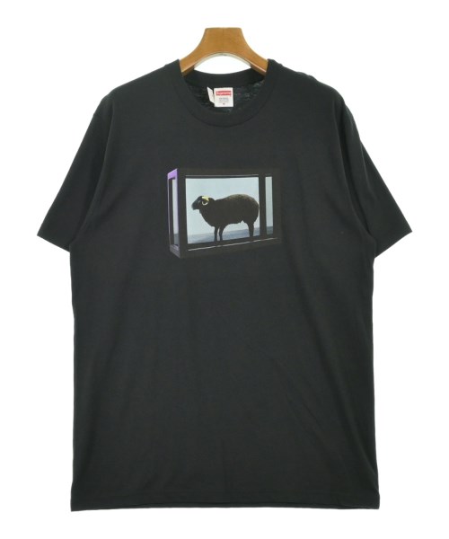 シュプリーム(Supreme)のSupreme Tシャツ・カットソー
