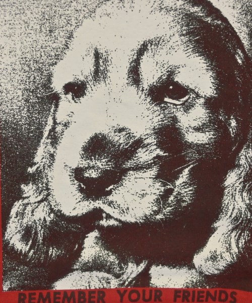 Supreme（シュプリーム）Tシャツ・カットソー 赤 サイズ:M メンズ/2200630589076