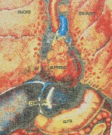 Supreme（シュプリーム）Tシャツ・カットソー 白 サイズ:M メンズ/2200630589090