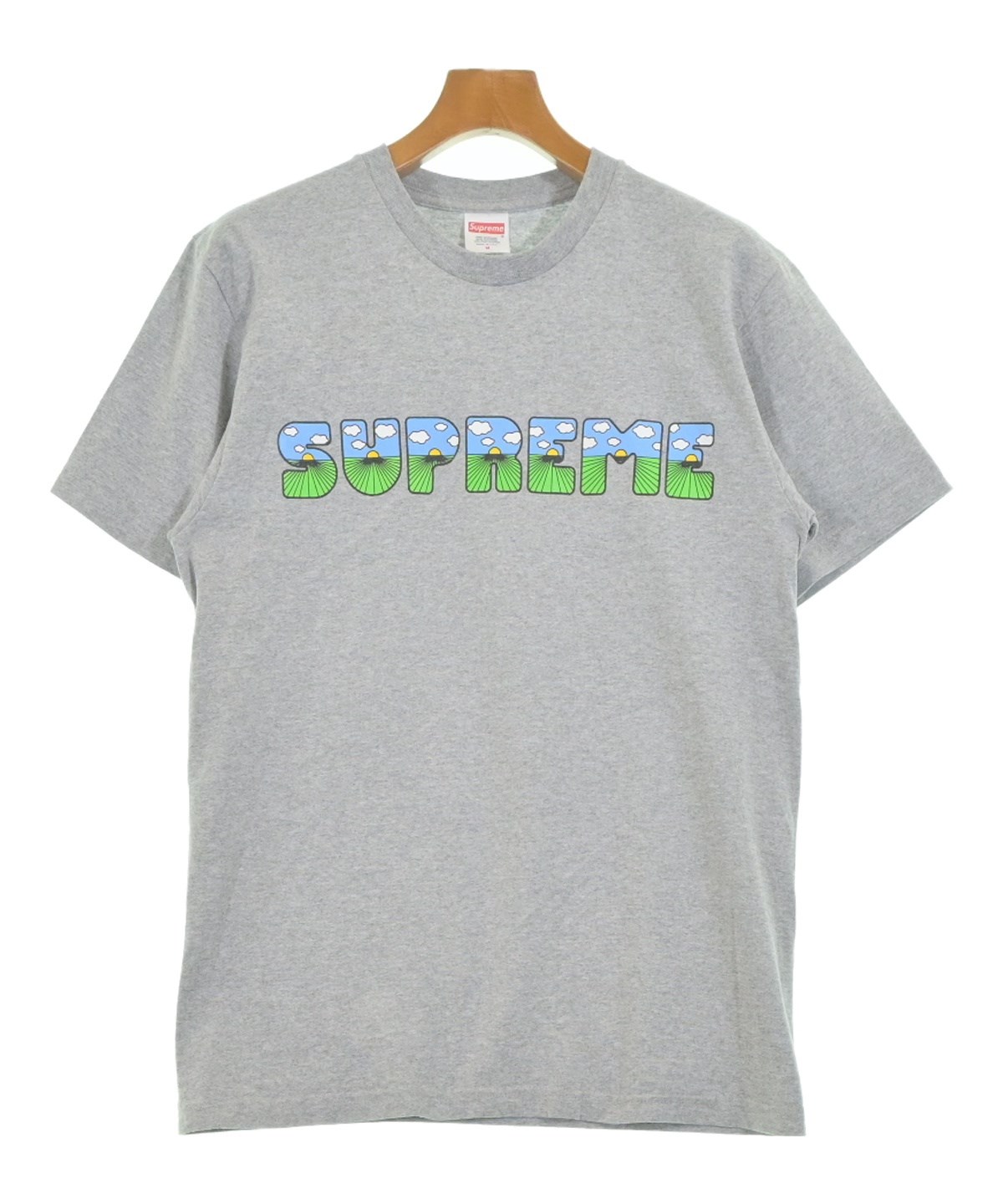 Supreme（シュプリーム）Tシャツ・カットソー グレー サイズ:M メンズ