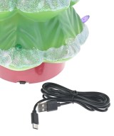 Supreme（シュプリーム）小物類（その他） 緑 サイズ:- メンズ/2200655214076