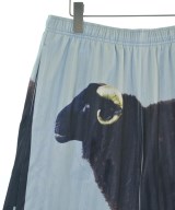 Supreme（シュプリーム）ショートパンツ 青 サイズ:S メンズ/2200673860095