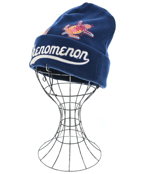 フェノメノン(phenomenon)のphenomenon ニットキャップ・ビーニー