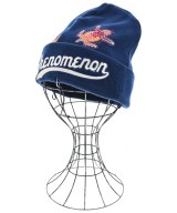 phenomenon ニットキャップ・ビーニー