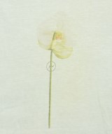The POOL aoyama（ザプールアオヤマ）Tシャツ・カットソー 白 サイズ:S メンズ/2200606008105