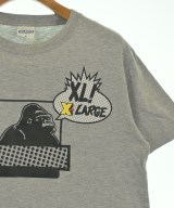X-LARGE（エクストララージ）Tシャツ・カットソー グレー サイズ:M メンズ/2200621198119
