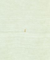 HUMAN MADE（ヒューマンメイド）Tシャツ・カットソー 白 サイズ:XL メンズ/2200619970109